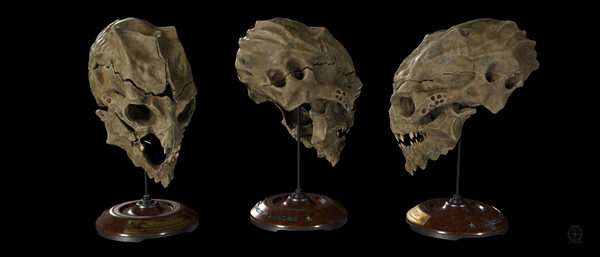 Battle of Vega II Vanduul Skull