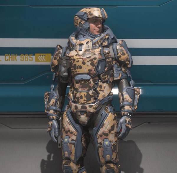 DCP Armor Arms Hunter Camo